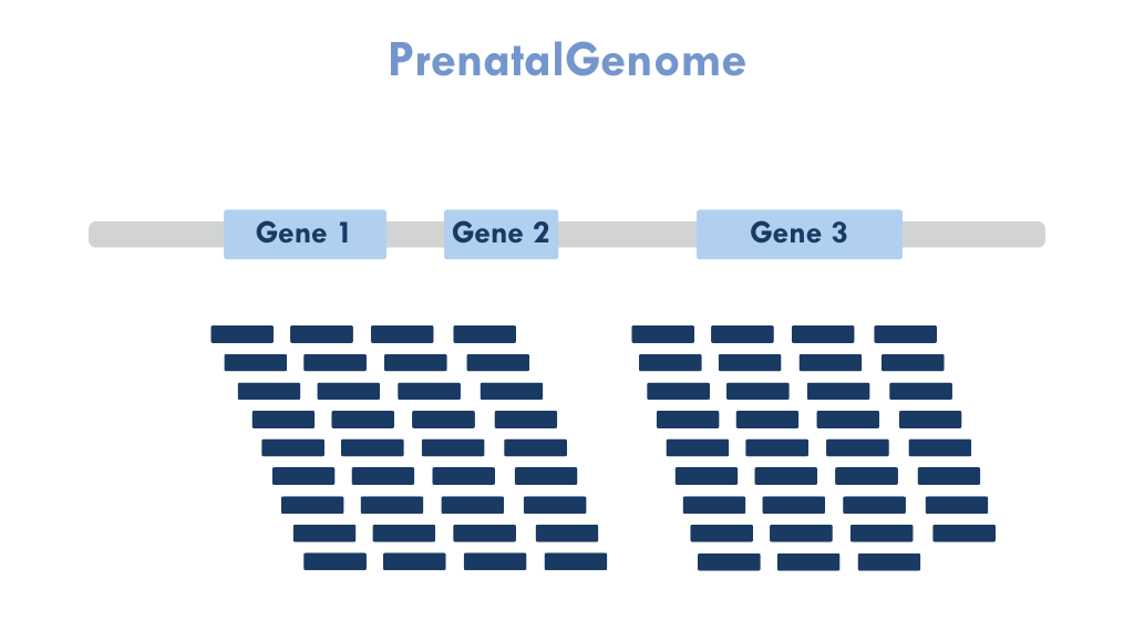 coverage prenatalgenome