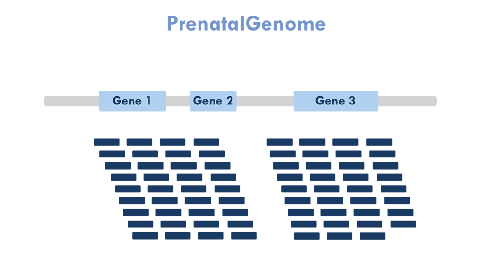 prenatalgenome coverage